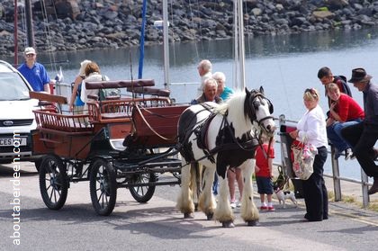 Horse cart ride portpatrick harbour scotland