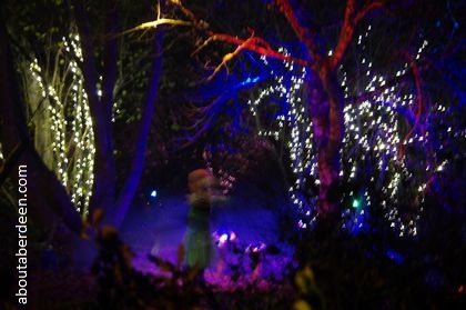 Magic Light Show In Dark With Fairy