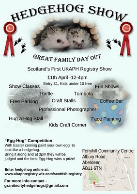 Pet Hedgehog Show Ferryhill Community Centre Aberdeen Scotland