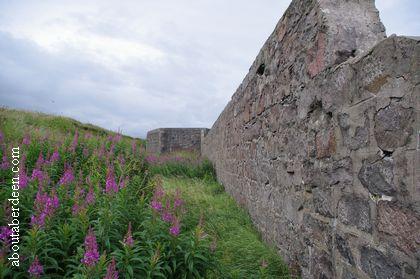 Scottish Fort Wall