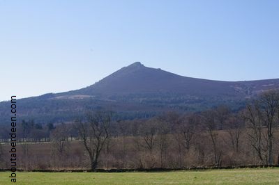 View Bennachie Hill