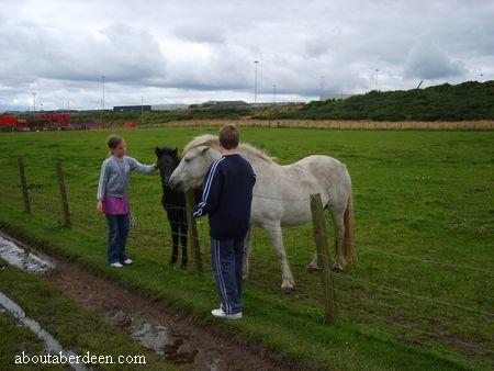 Children and Horses
