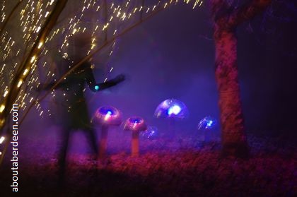 dancing fairy forest lights