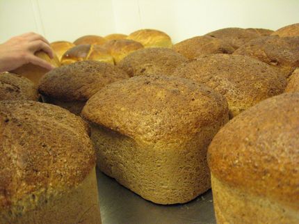 freshly baked bread photo