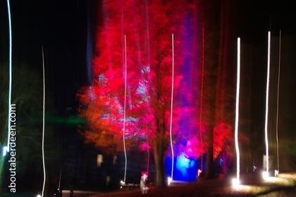 red lit up tree