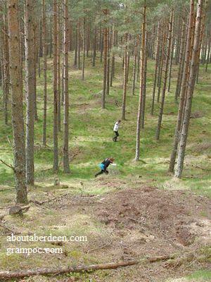 Orienteer Aberdeen