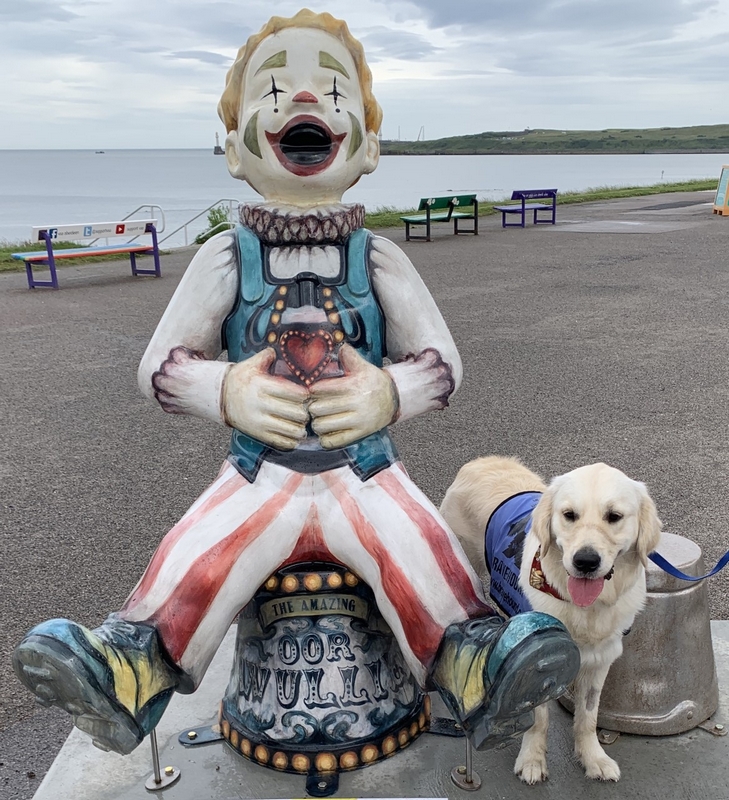 Amazing Oor Wullie Sculpture Beach Benches Aberdeen