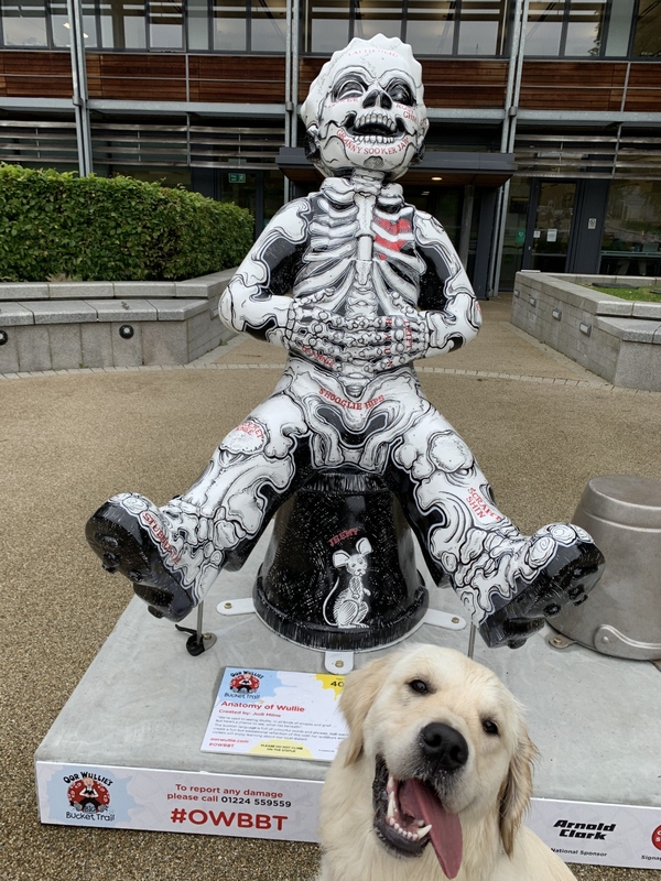 Anatomy of Wullie Judi Milne Suttie Centre Aberdeen Royal Infirmary