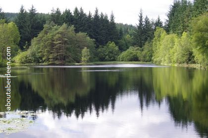 Bruntis Loch Scotland