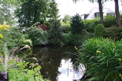 Pond Johnston Gardens