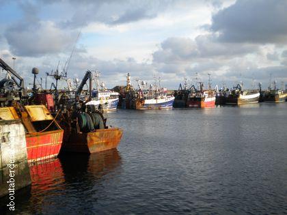 Trawlers