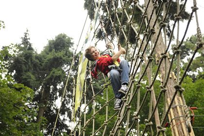 Tree Top Assault Course