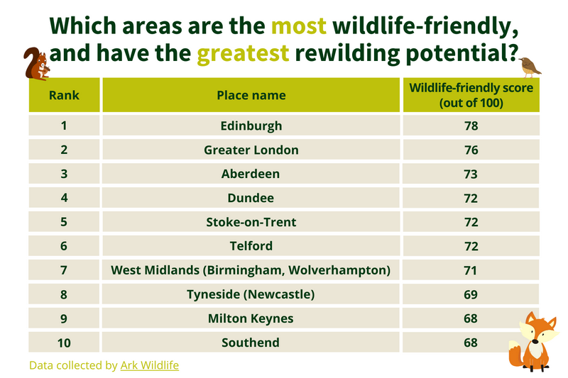 Urban Rewilding Aberdeen Scotland