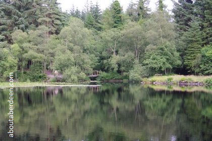 bridge over loch with trees