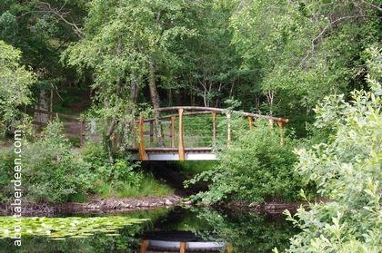 bridge over river with background trees