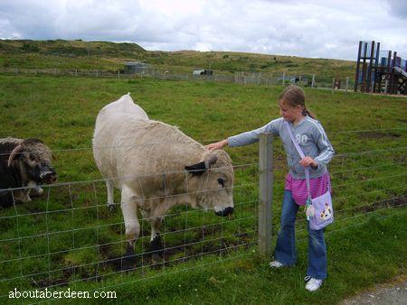 Doonies Farm