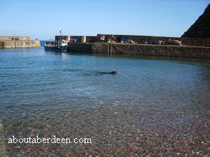 Pennan Fraserburgh