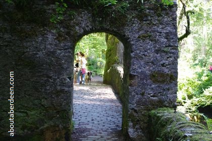 stone arch on bridge