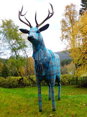 tartan stag